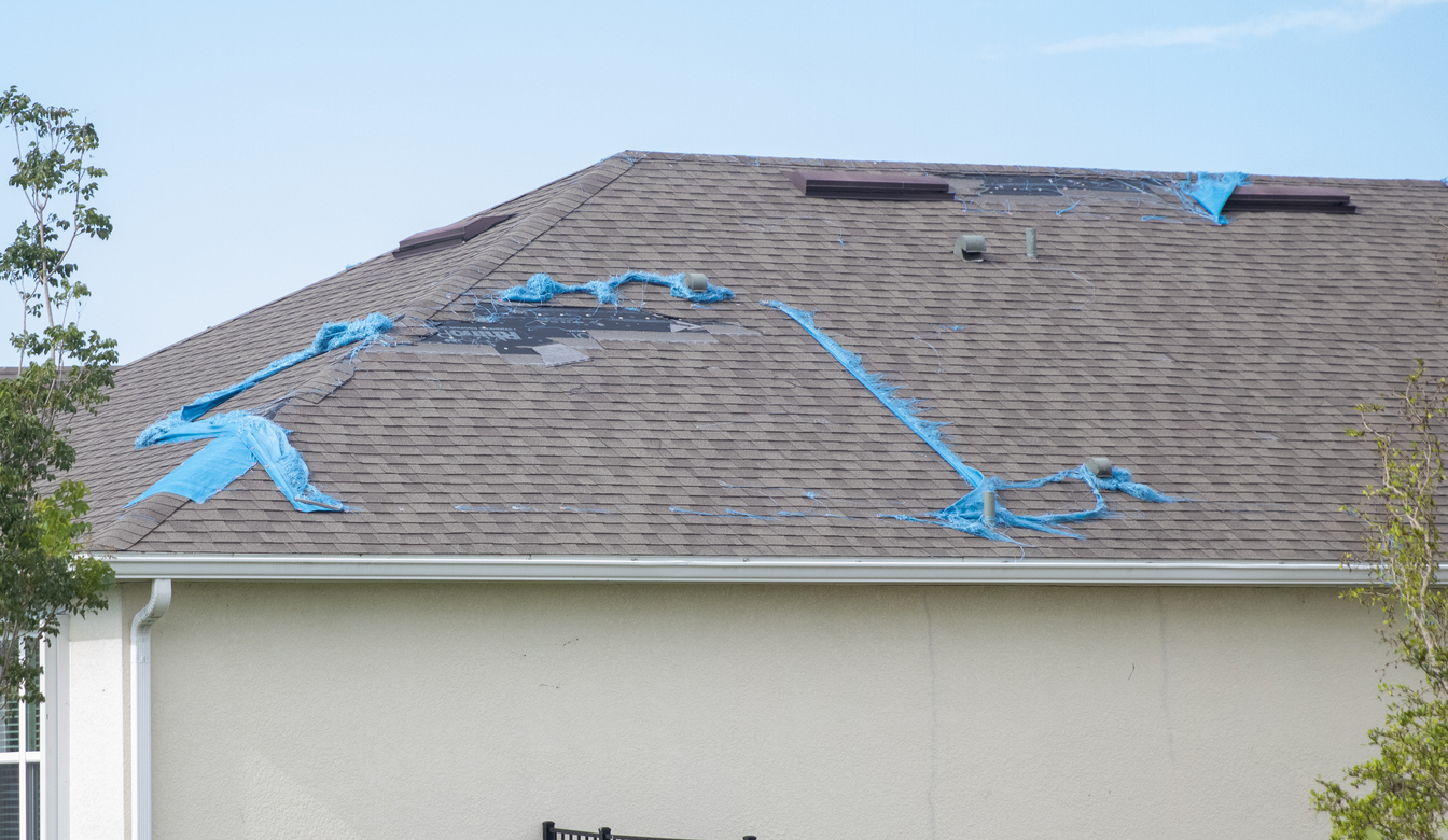 Roof Damage Claim Image